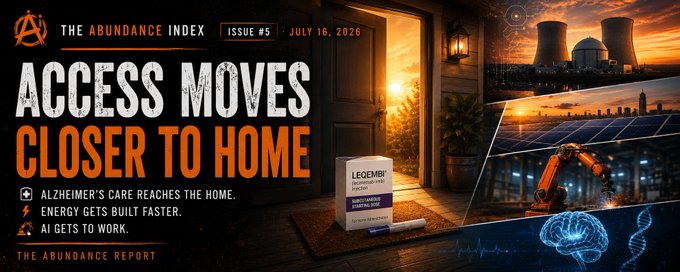 The Abundance Index #5: Access Moves Closer to Home cover artwork.